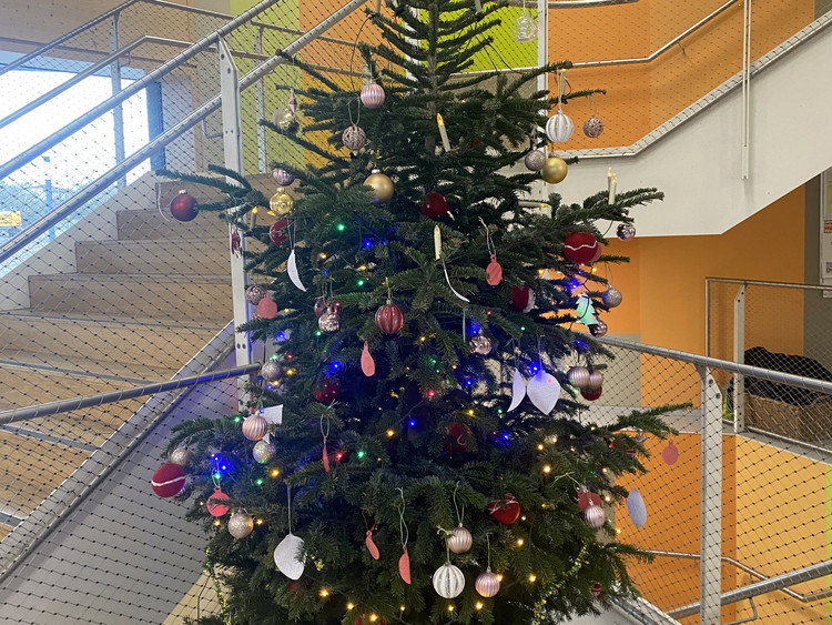 Die GMS als begehbarer Adventskalender