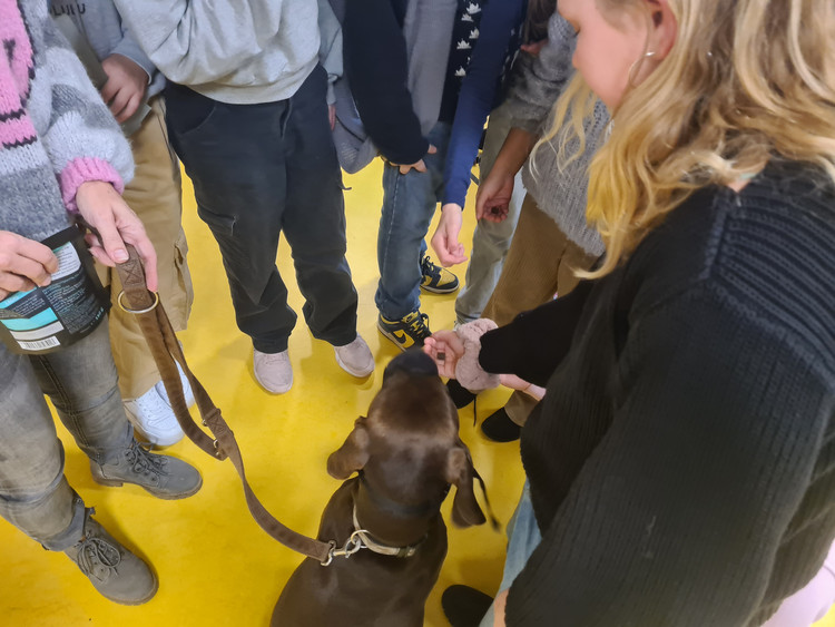 Hunde, Katzen und Hamster zu Besuch an der GMS
